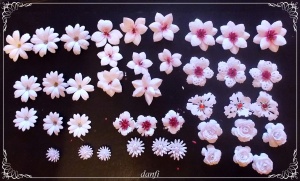 moje kwiatki (1)